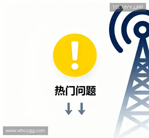 常见问题集